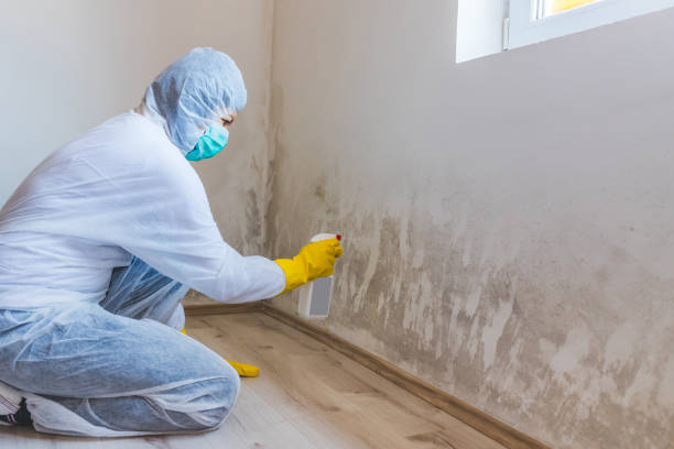 Hvac And Air Duct Mold Remediation inspection of HVAC system in Springfield